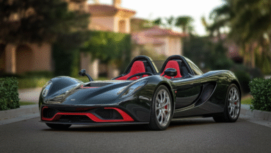 Nice Cars on GTA 5